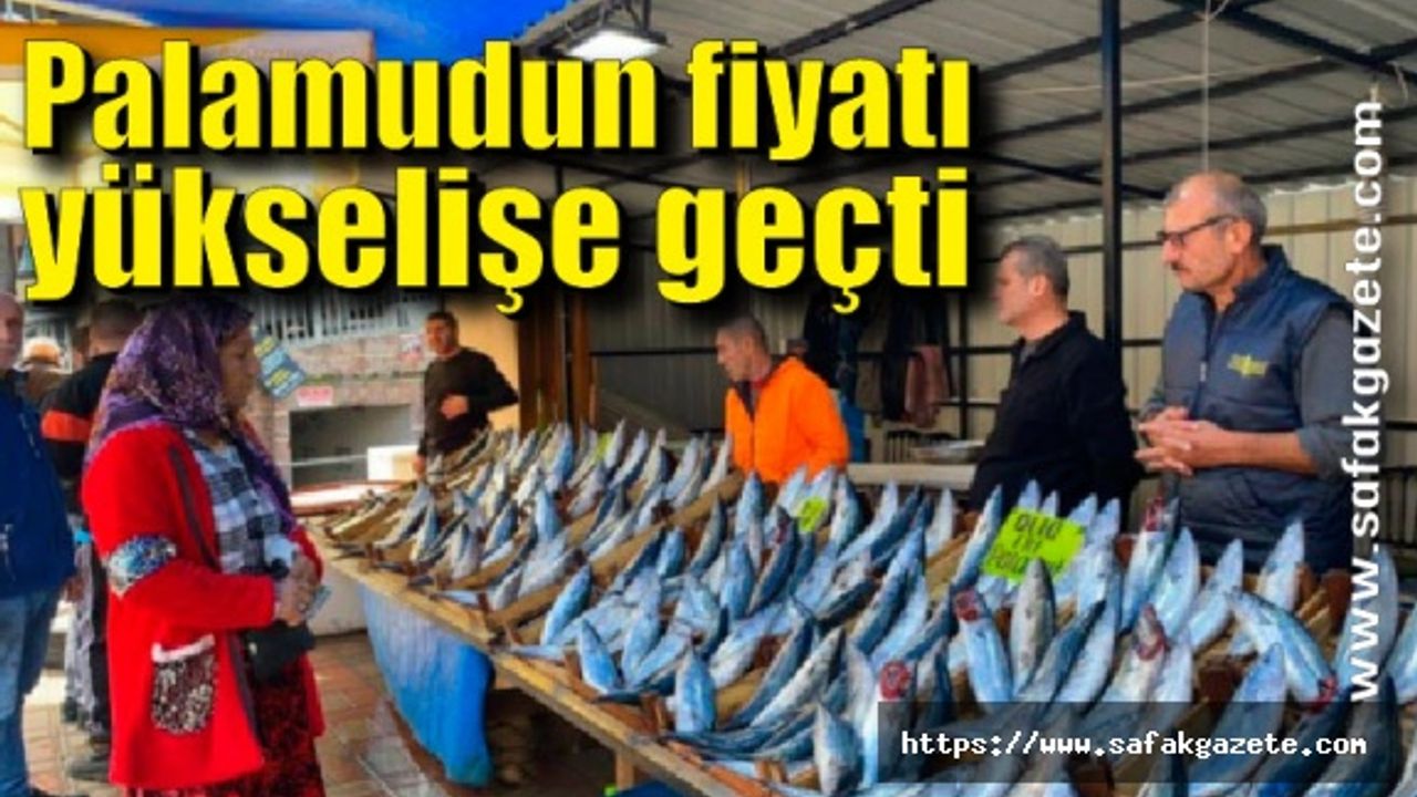 Zonguldak'ta palamudun fiyatı yükselişe geçti