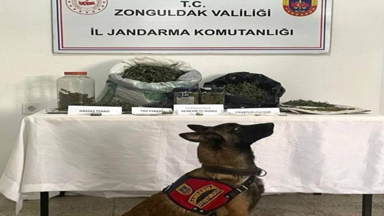 Ereğli'de uyuşturucu operasyonu:1 gözaltı