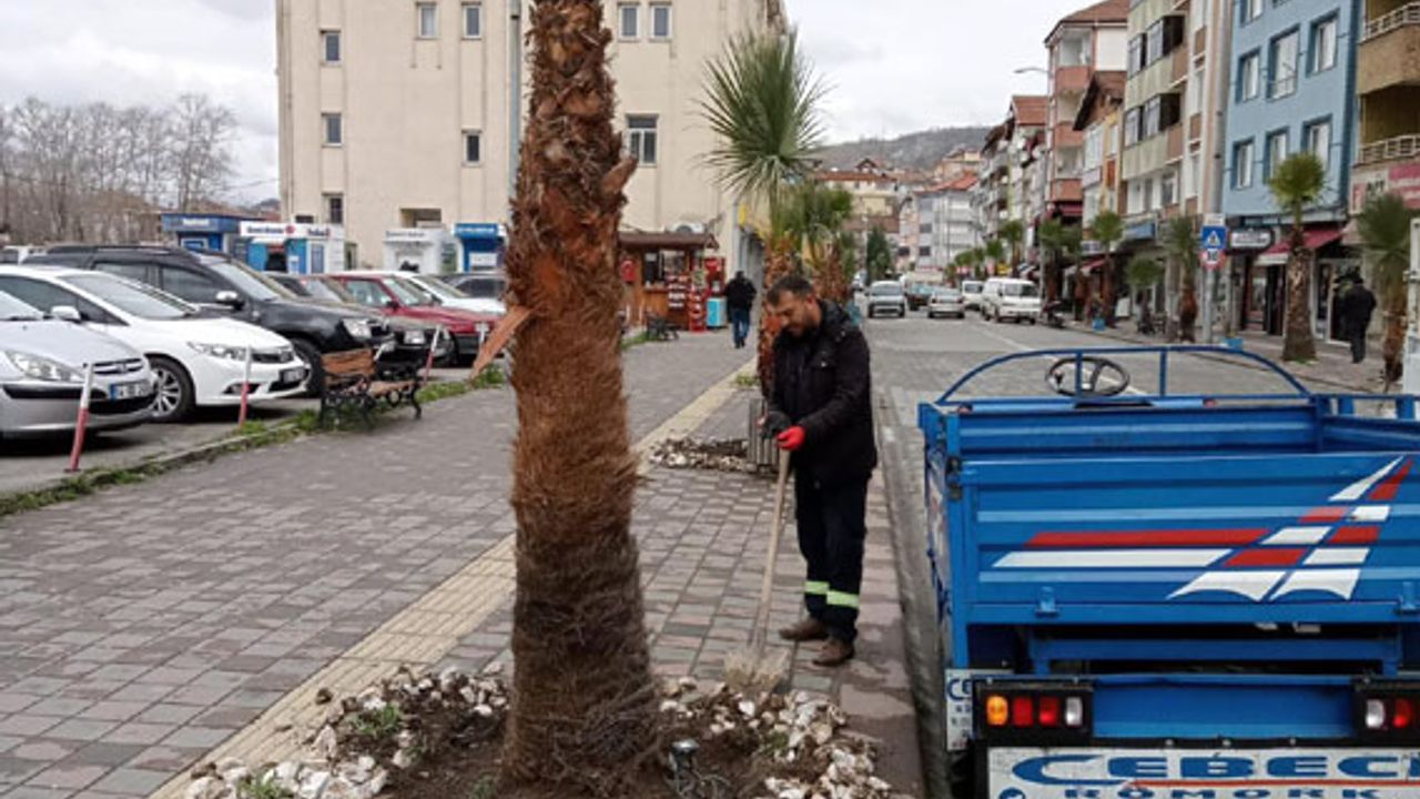 Gökçebey Belediyesi ağaç diplerini temizledi