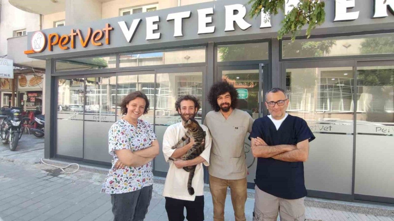 Kayıp kediyi bulan veteriner 500 dolarlık ödülü derneğe bağışladı