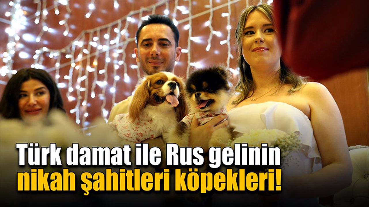 Türk damat ile Rus gelinin nikah şahitleri köpekleri!