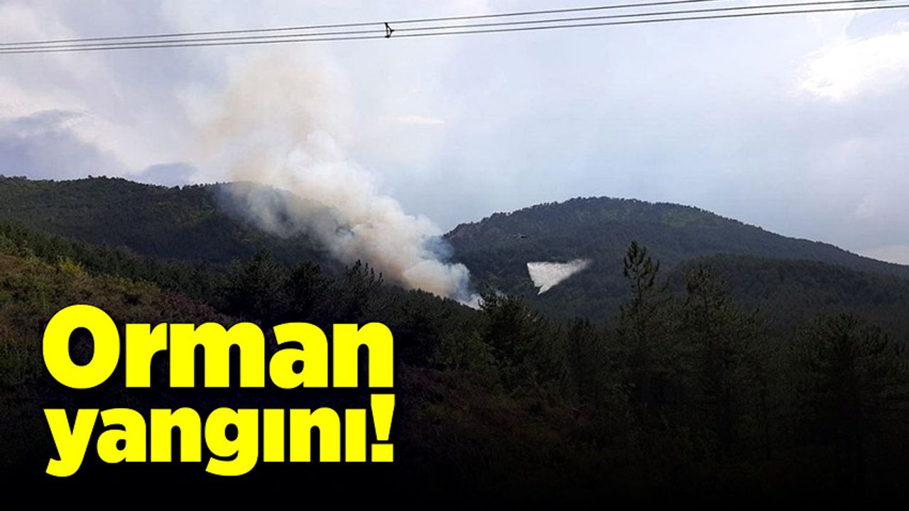 Bolu Mudurnu'da orman yangını! Ekipler seferber edildi