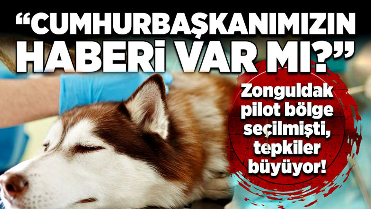 Zonguldak pilot bölge seçilmişti, tepkiler büyüyor! “Cumhurbaşkanımızın haberi var mı?”