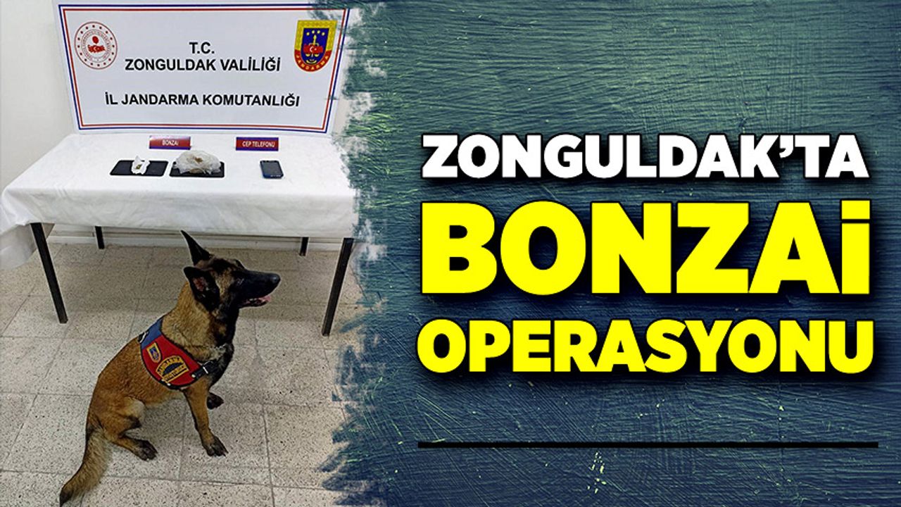 Zonguldak’ta bonzai operasyonu!
