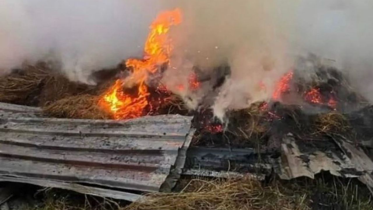 Kozlu'da samanlıkta çıkan yangın korkuttu