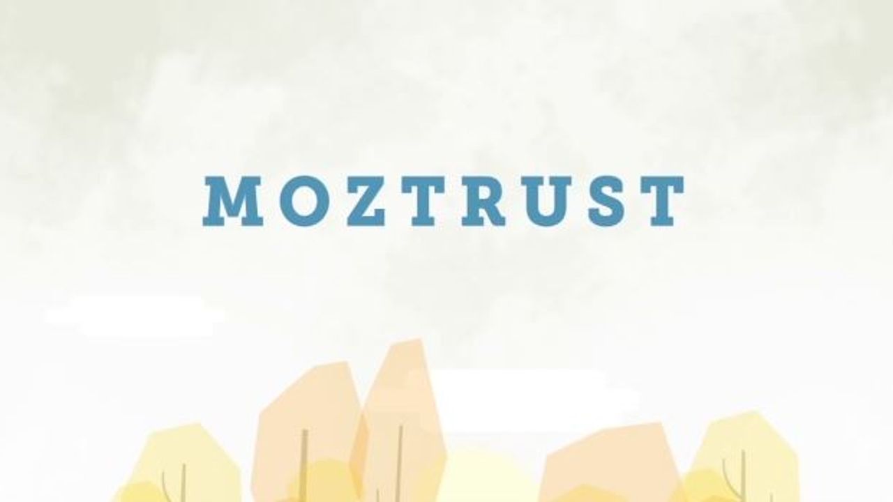 MozTrust'ın SEO'ya etkisi nedir?
