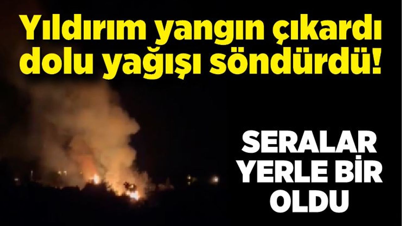 Yıldırım düşmesi sonucu yanan ağacı da yine dolu yağışı söndürdü