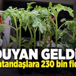 Vatandaşlara 230 bin fide dağıtıldı, halk yoğun ilgi gösterdi