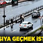 Karşıya geçmek istedi!