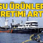 Su ürünleri üretimi arttı