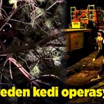 İtfaiyeden kedi operasyonu!