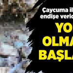 Çaycuma ile ilgili endişe verici iddia! Yok olmaya başladı!