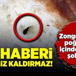 Bu haberi mideniz kaldırmaz! Zonguldak’ta poğaçanın içinden çıkan şok etti!