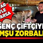 Muhtar böyle yaparsa... Genç çiftçiye komşu zorbalığı!