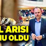 Bal arıları şah damarından soktu, hayatını kaybetti