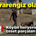 25 gündür kayıptı! Kafa ve bacakları vücuttan ayrılmış bir halde köy merkezinde bulundu