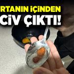 Yumurtanın içinden civciv çıktı!