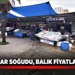 Havalar soğudu, balık fiyatları…