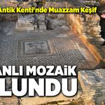 Dionysos kült mekanı aslanlı mozaikle aydınlandı