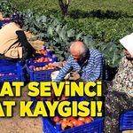 Hasat sevinci, fiyat kaygısı!