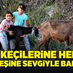 Hem keçilerine hem de kardeşine sevgiyle bakıyor
