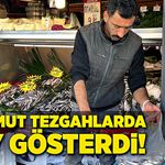 Palamut tezgahlarda, boy gösterdi