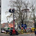 Ekipler ağaçlarda budama çalışması yaptı