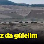 O görüntüler izleyenleri güldürdü