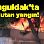 Zonguldak’ta korkutan yangın!