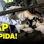 Şap kapıda! Bartın’ın 51 köyü “Gözetim ve koruma Bölgesi” olarak belirlendi
