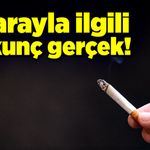 Sigarayla ilgili korkunç gerçek!