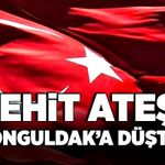 Zonguldak'a şehit ateşi düştü!