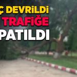 Ağaç devrildi, yol trafiğe kapatıldı