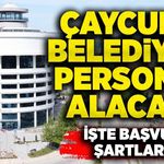 Çaycuma Belediyesi işçi alımı yapacak