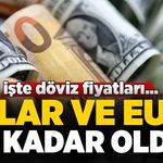 Döviz Piyasalarında Son Durum: Dolar ve Euro Güne Yükselişle Başladı