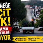 Sivrisineğe Geçit Yok! İlaçlama Seferberliği Sürüyor