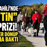Kozlu Sahili’nde “Zeytin” sürprizi! Görenler dönüp bir daha baktı