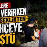 Kedilere süt verirken yükseklikten bahçeye düştü