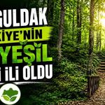Zonguldak Türkiye'nin en yeşil 8’nci ili oldu