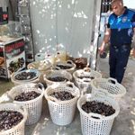 200 kilo bozuk midye dolması ele geçirildi