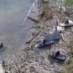 Adana'da kayıp iki çocuk arama çalışması başlatıldı