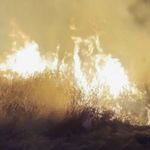 Aksaray'da boş arazideki ot yangını korkuttu