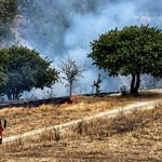 Anız yangını ormanlık alana sıçramadan söndürüldü