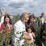 Bakan Göktaş Düzce’de yaban mersini topladı