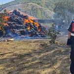 Besihane yangını: Binlerce saman ve yonca balyası zarar gördü