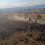 Bolu’da anız yangını ağaçlık alana sıçramadan söndürüldü