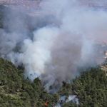 Bolu'da orman yangını başladı