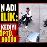 Bunun adı canilik: Yavru kediyi önce öptü, sonra boğdu