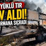 Şeker yüklü tır alev aldı, yangın ormana sıçradı