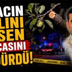 Ağacın dalını kestiği için amcasını öldürdü